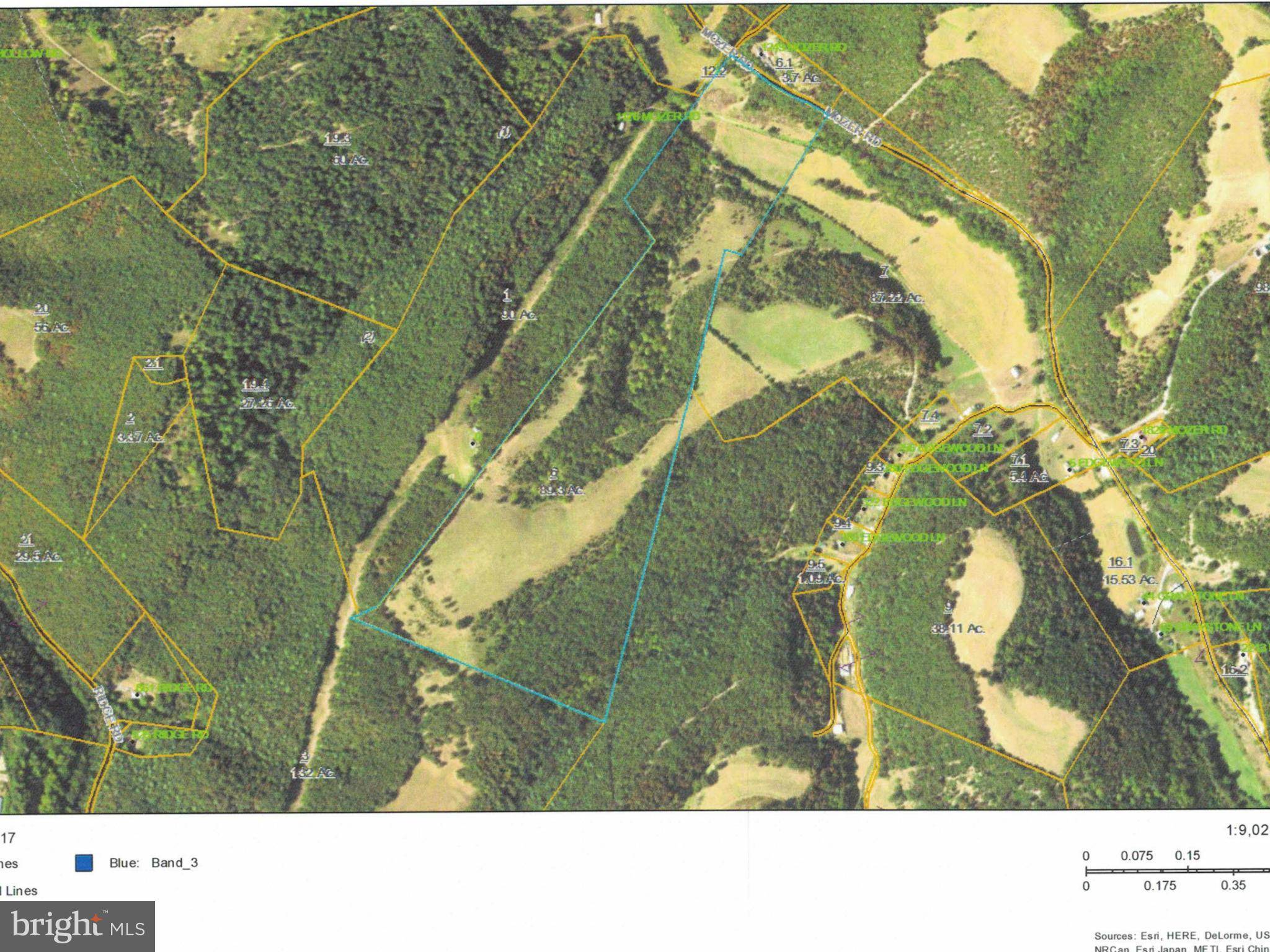 Upper Tract, WV 26866,88.67 ACS BRUSHY RUN