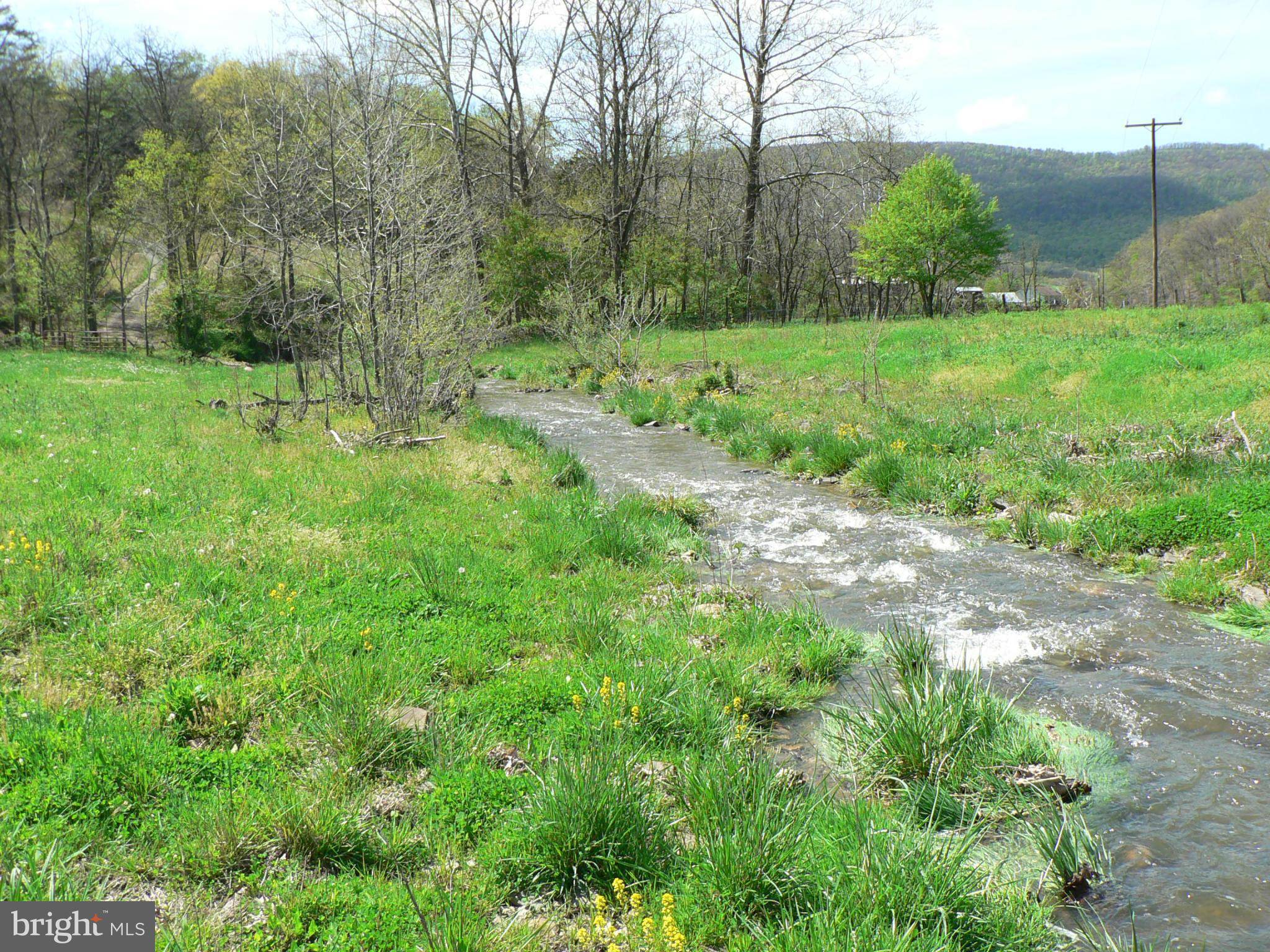 Upper Tract, WV 26866,88.67 ACS BRUSHY RUN