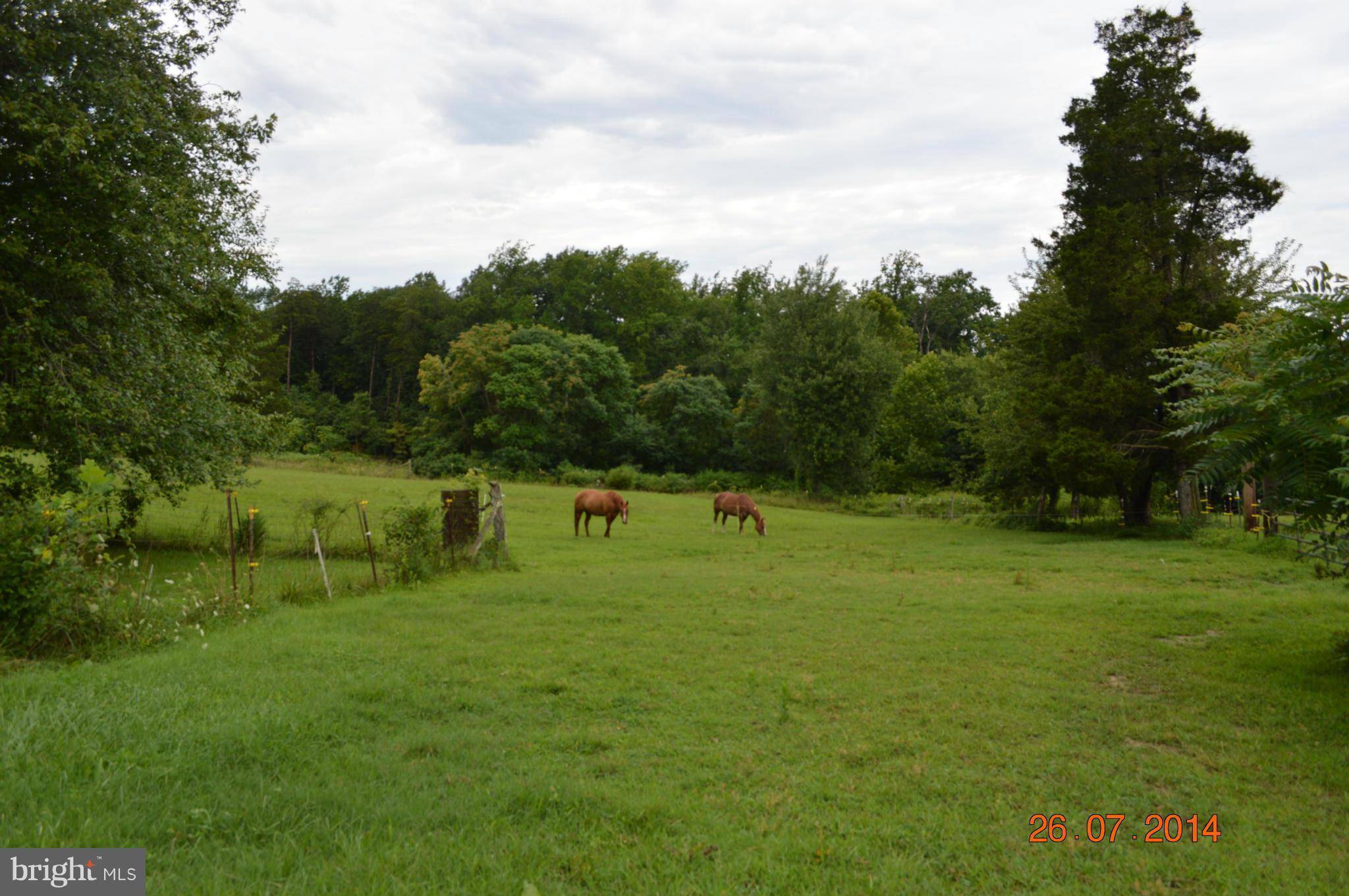 Rixeyville, VA 22737,SETTLE SCHOOL RD