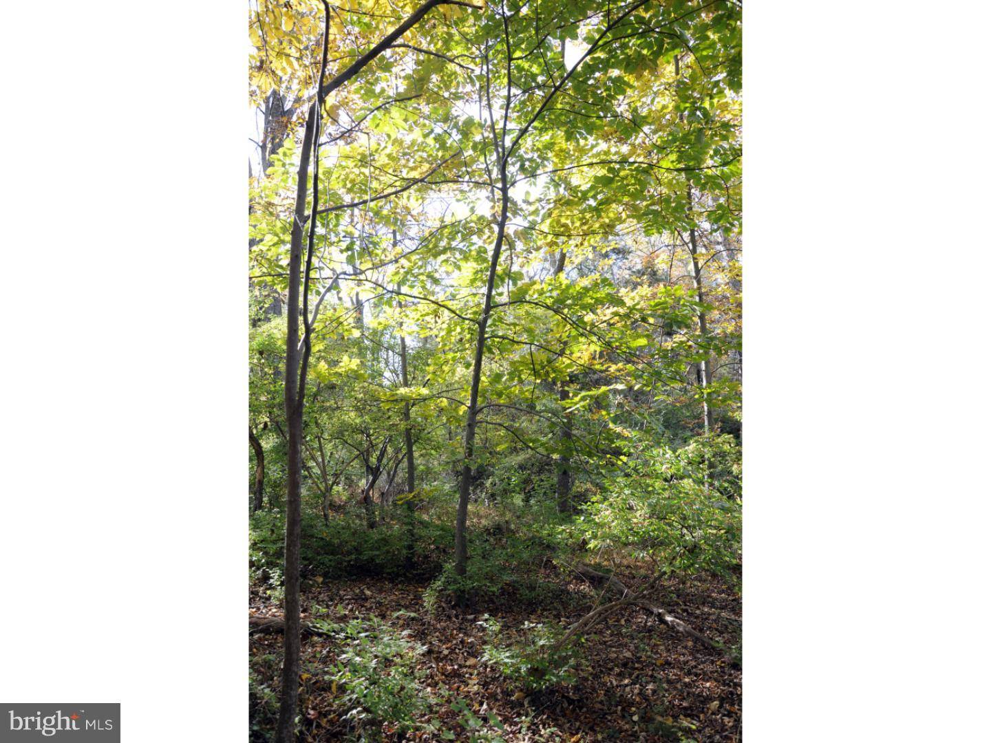 Harleysville, PA 19438,LOT 1 KOBER RD