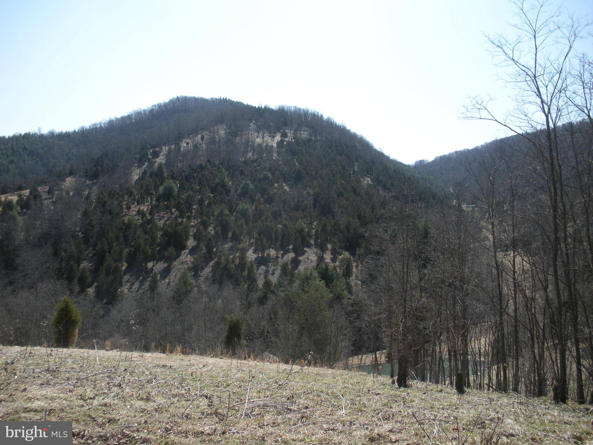 Sugar Grove, WV 26815,0 MOYERS GAP ROAD