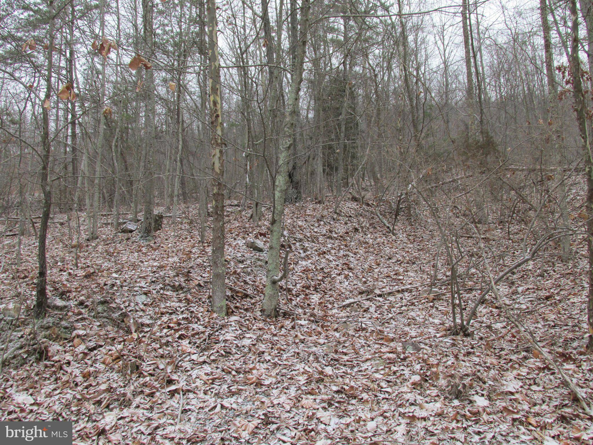 Fort Valley, VA 22652,LOT 114 FOREST RIDGE TRAIL