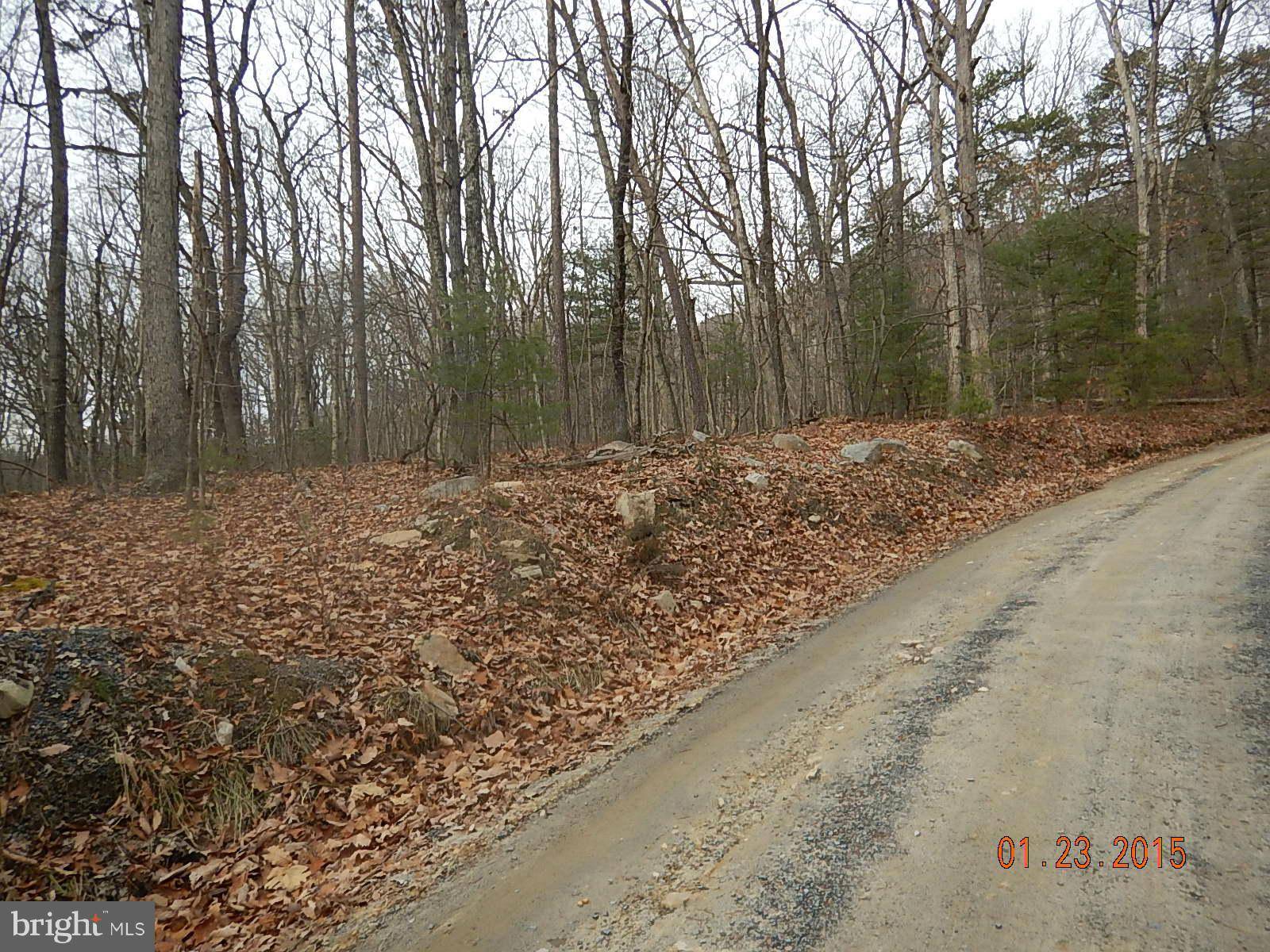 Luray, VA 22835,FOREST EXTENDED DR