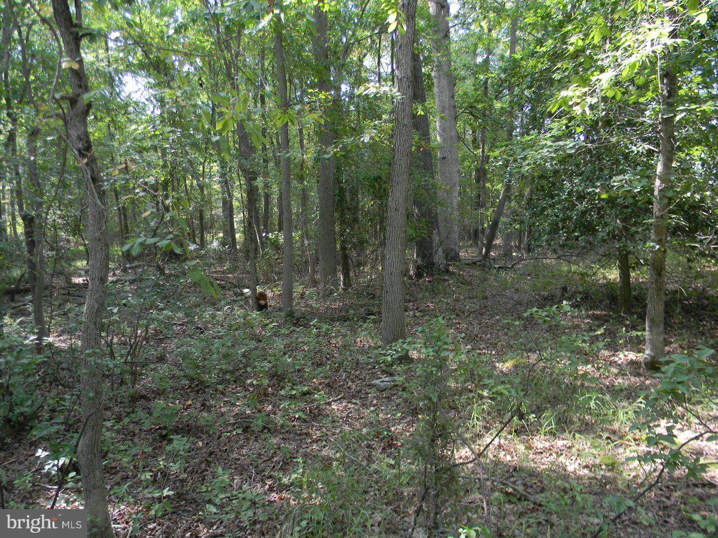 Shamong, NJ 08088,LOT 52 ORIENTAL RD