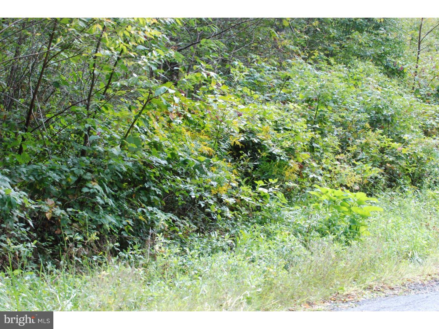 Andreas, PA 18211,LOT 8 MILLHEAD RD