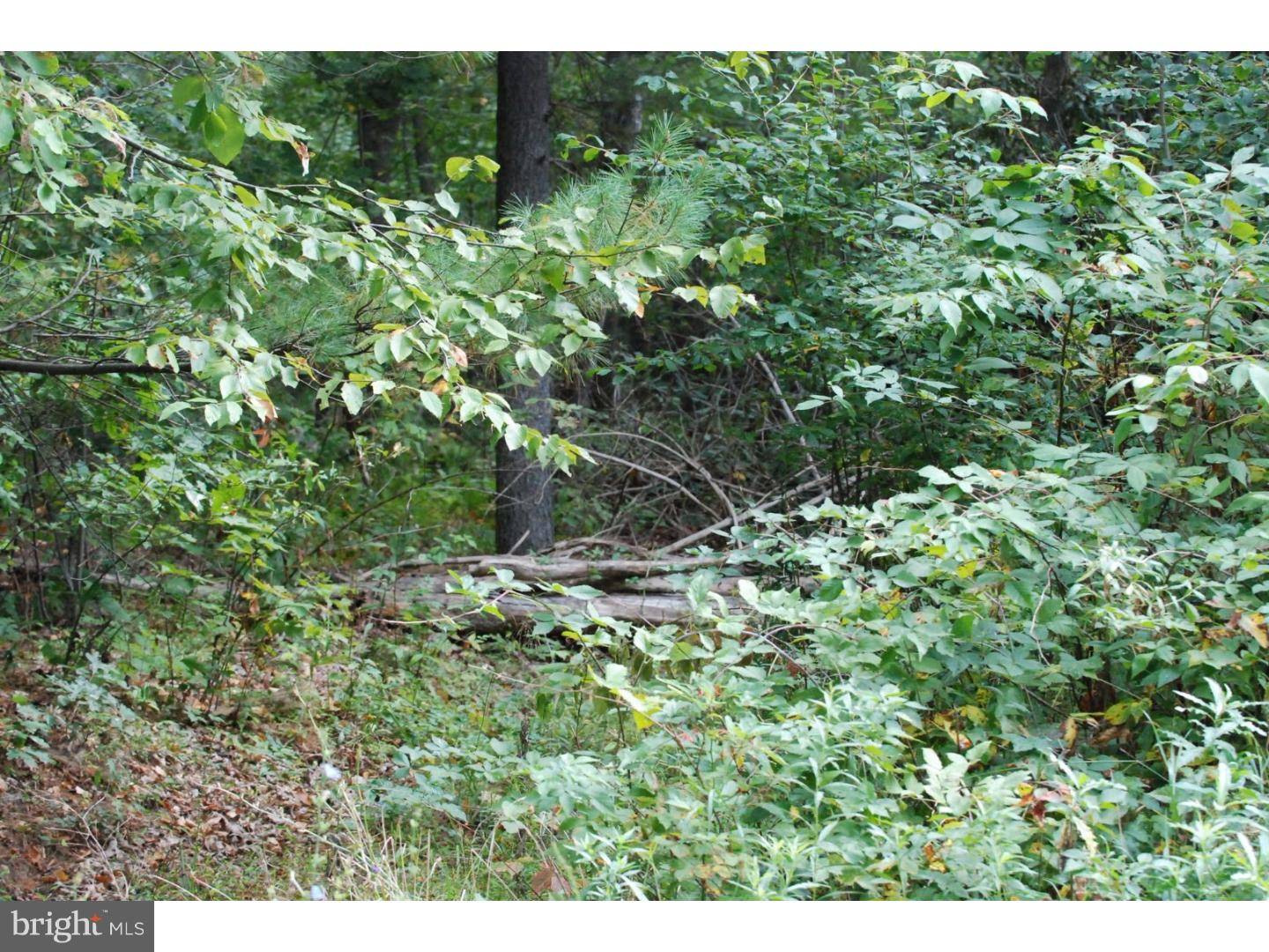 Andreas, PA 18211,LOT 8 MILLHEAD RD