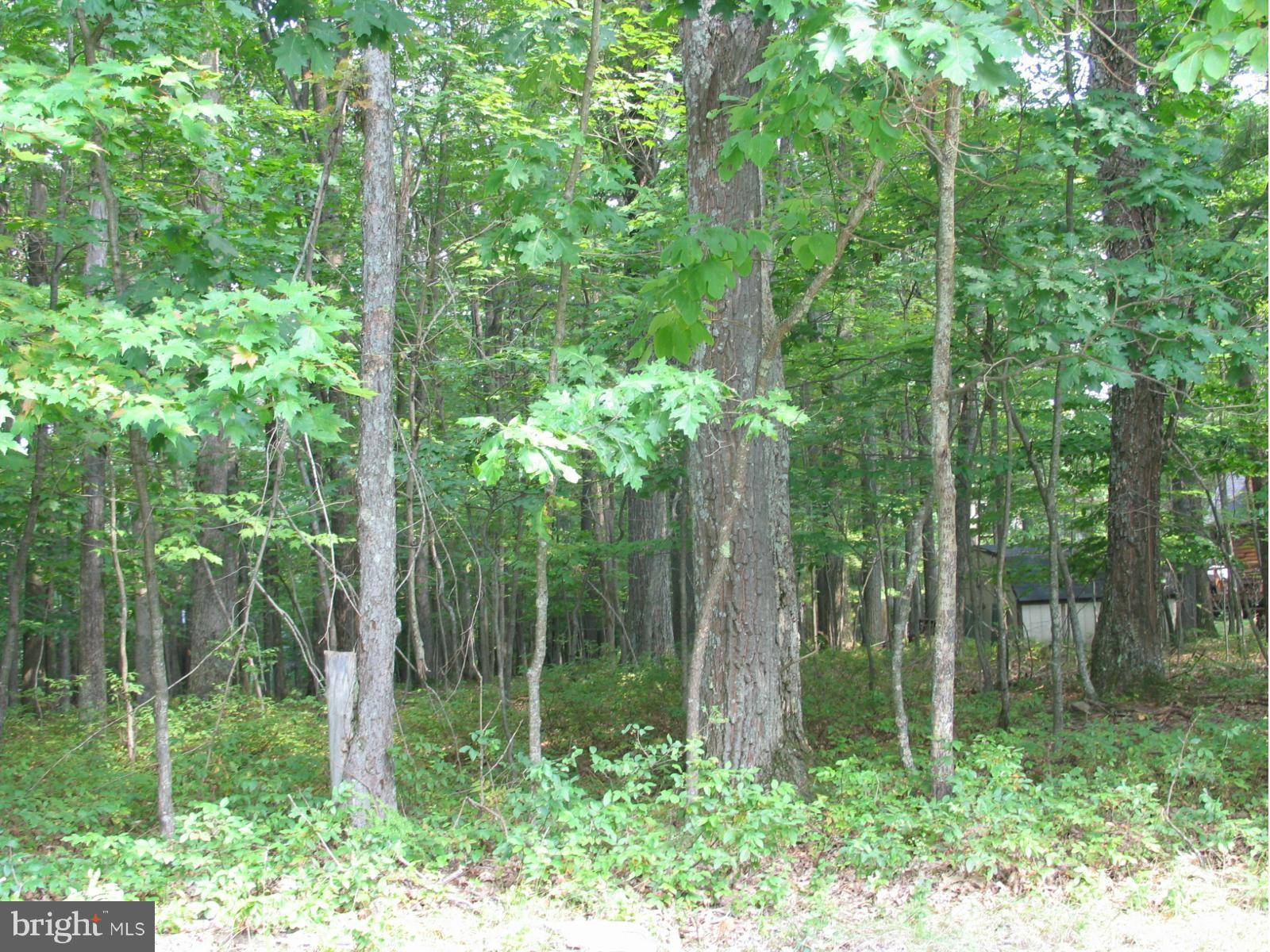 Swanton, MD 21561,-LOT 10 DEER RUN