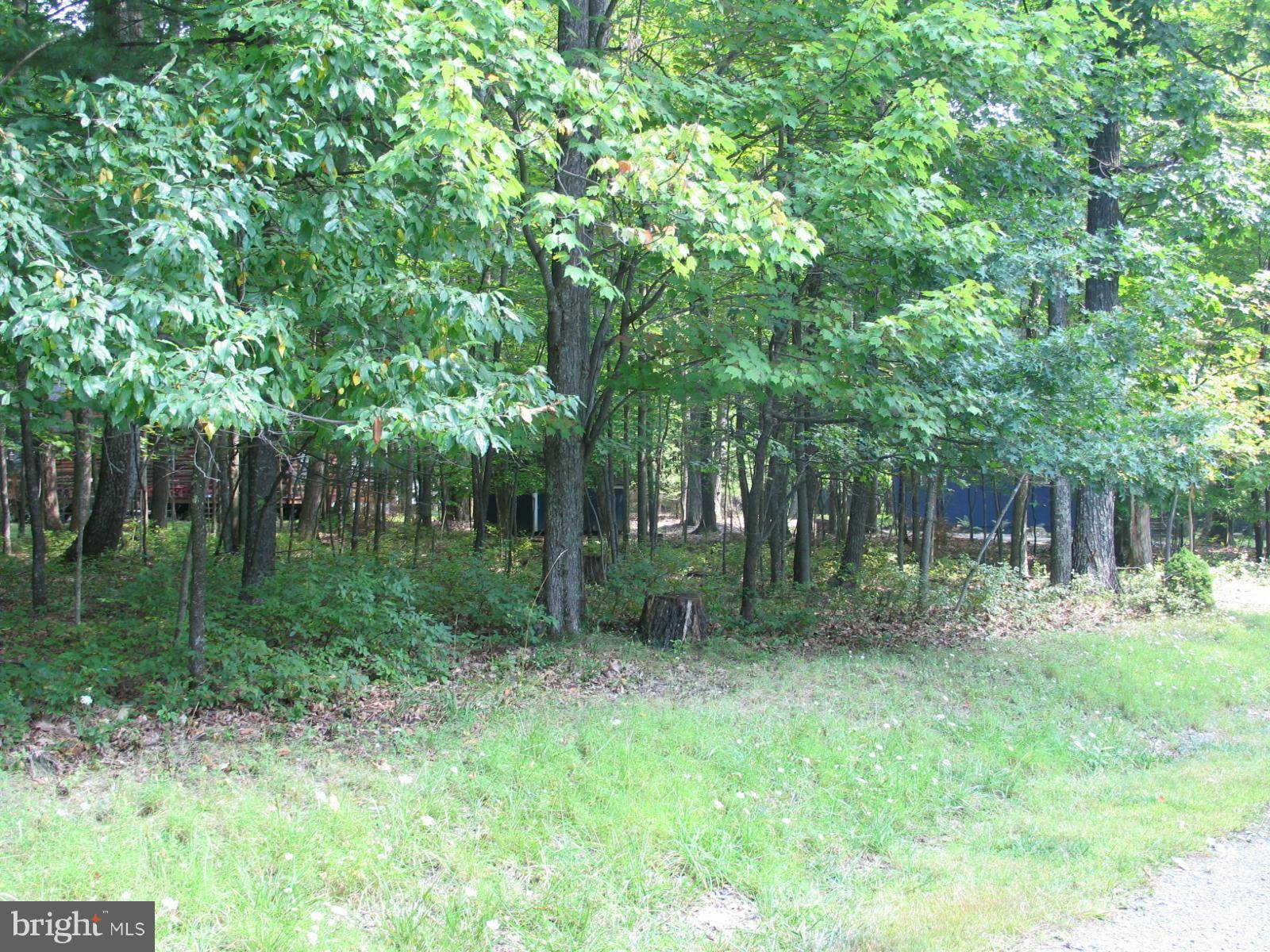 Swanton, MD 21561,-LOT 10 DEER RUN