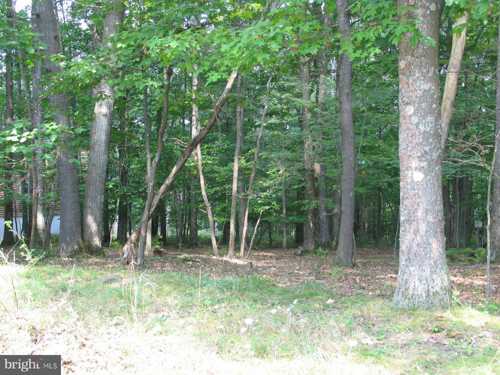 Swanton, MD 21561,-LOT 10 DEER RUN