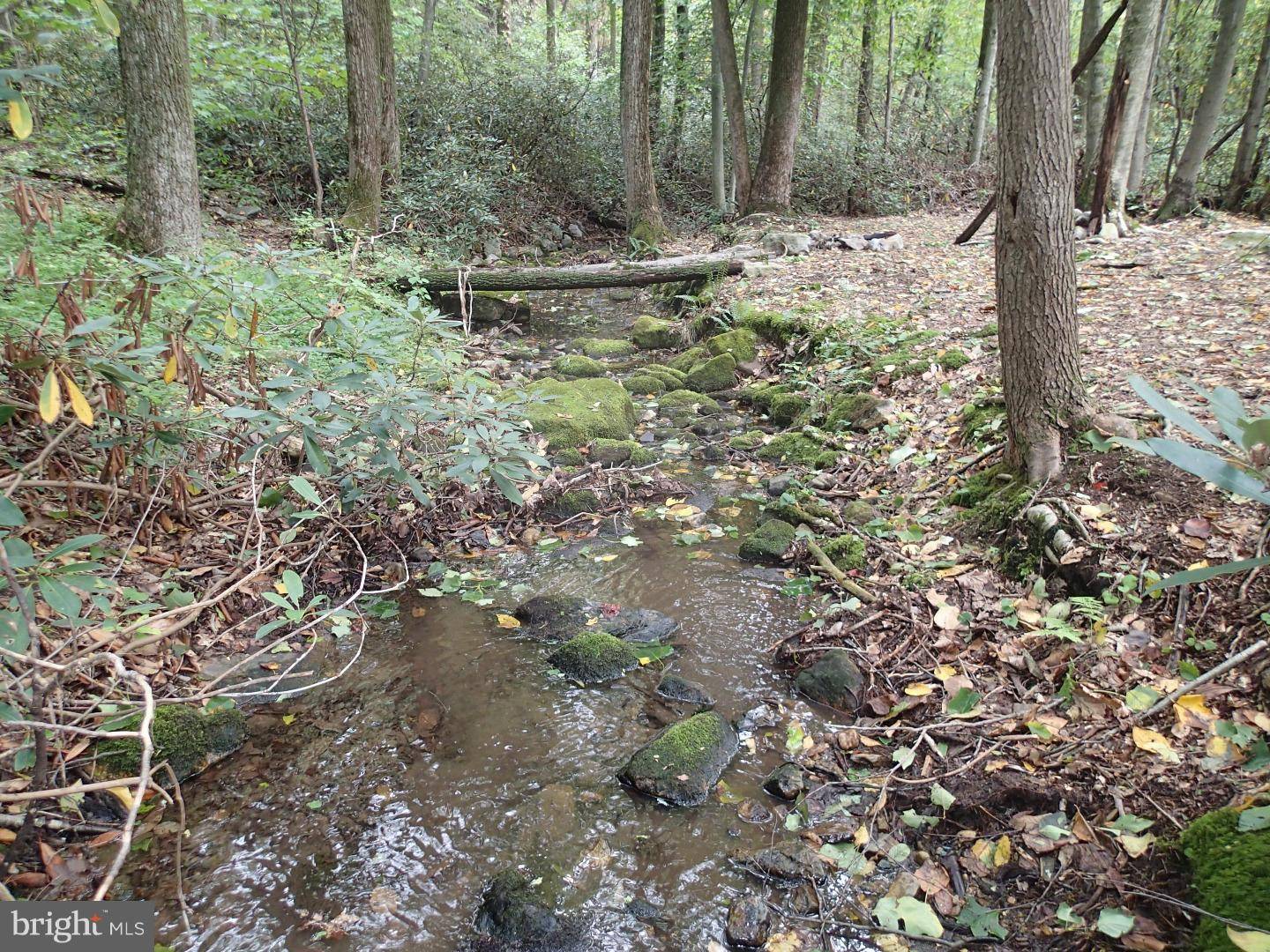 Hamburg, PA 19526,L:81 BLUE ROCKS RD