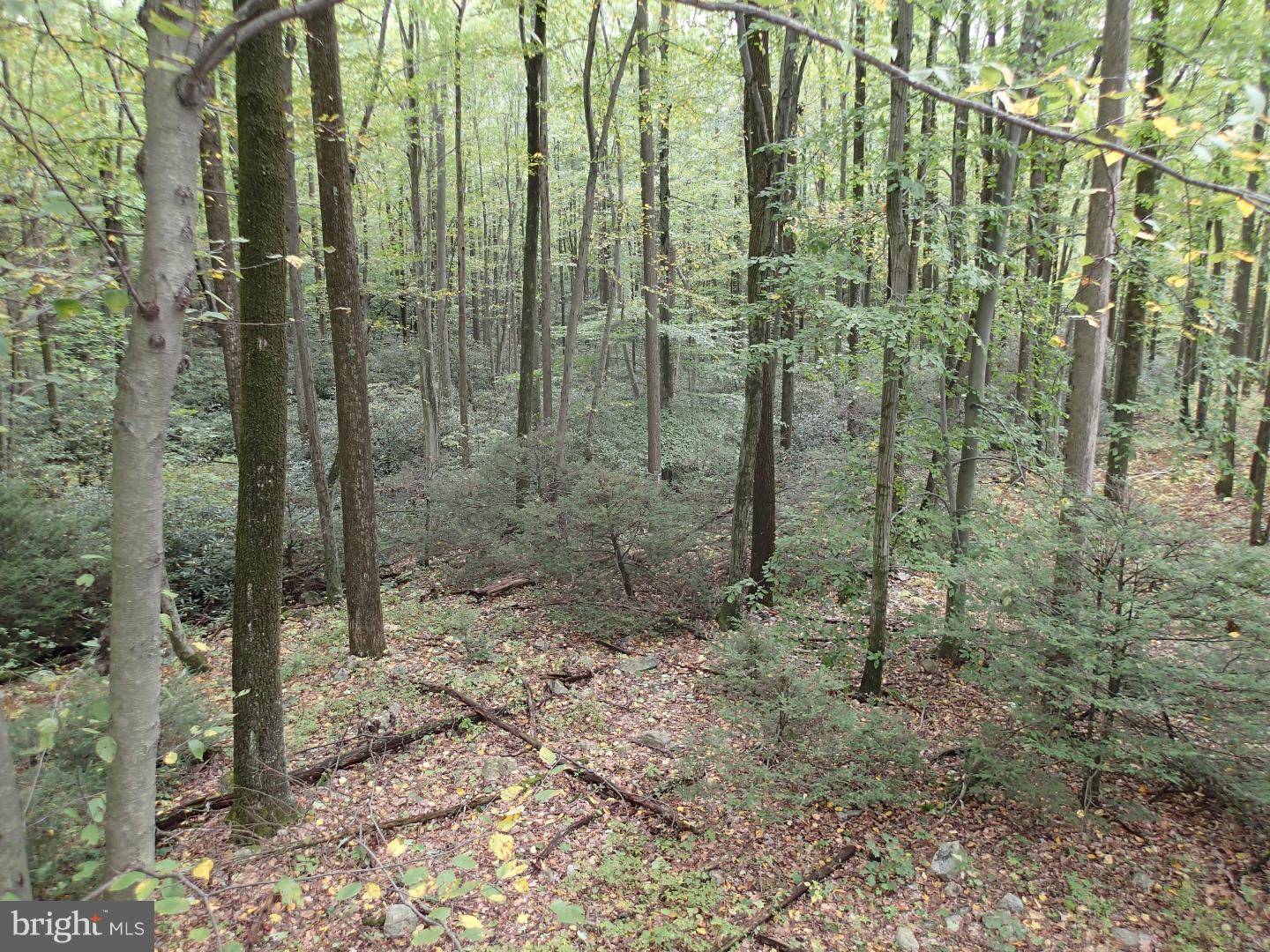 Hamburg, PA 19526,L:81 BLUE ROCKS RD