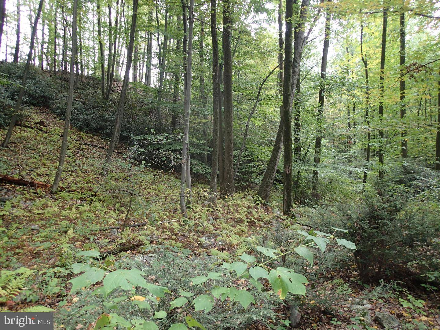 Hamburg, PA 19526,L:81 BLUE ROCKS RD