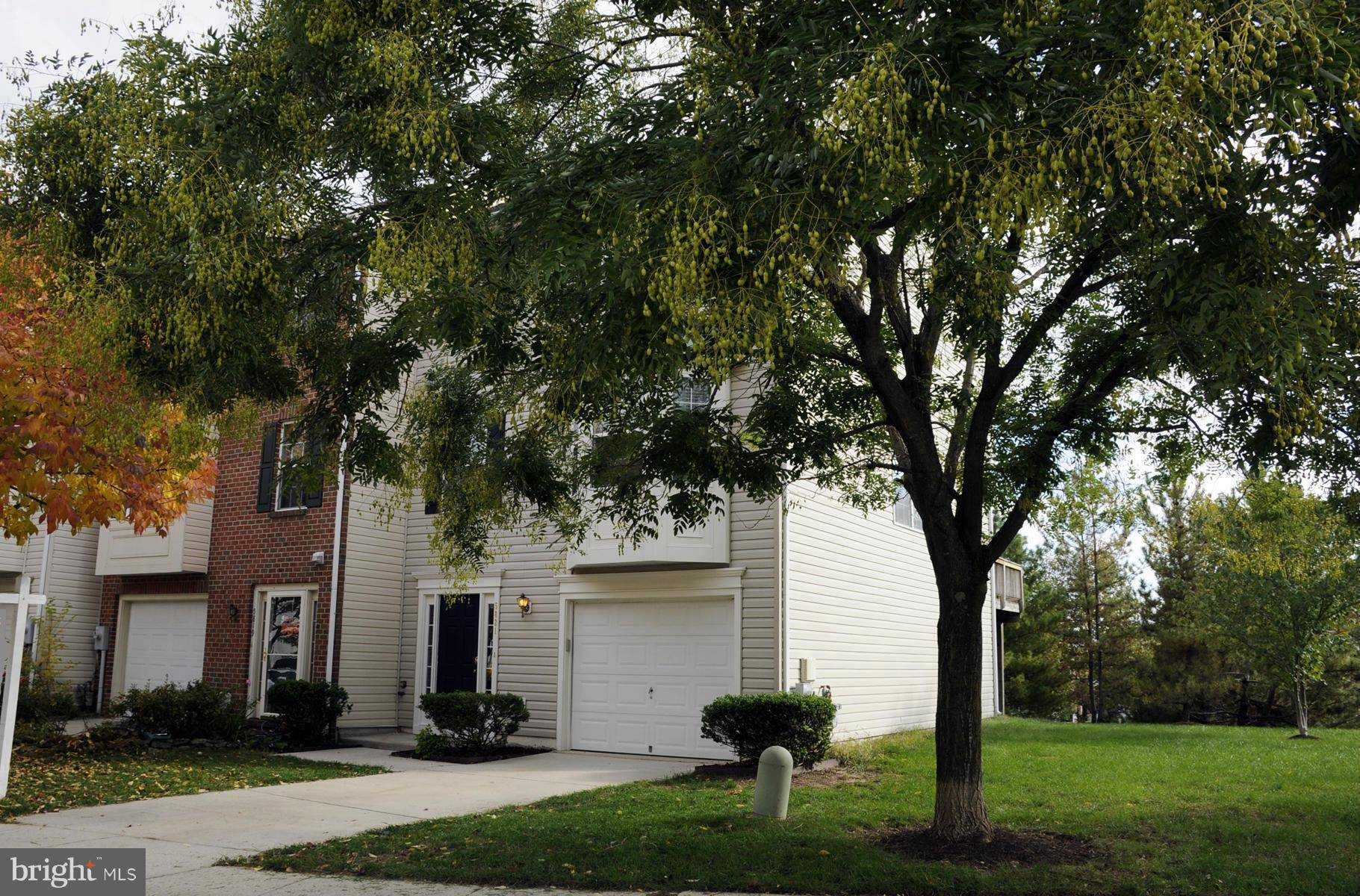 Elkridge, MD 21075,5821 BLUE SKY