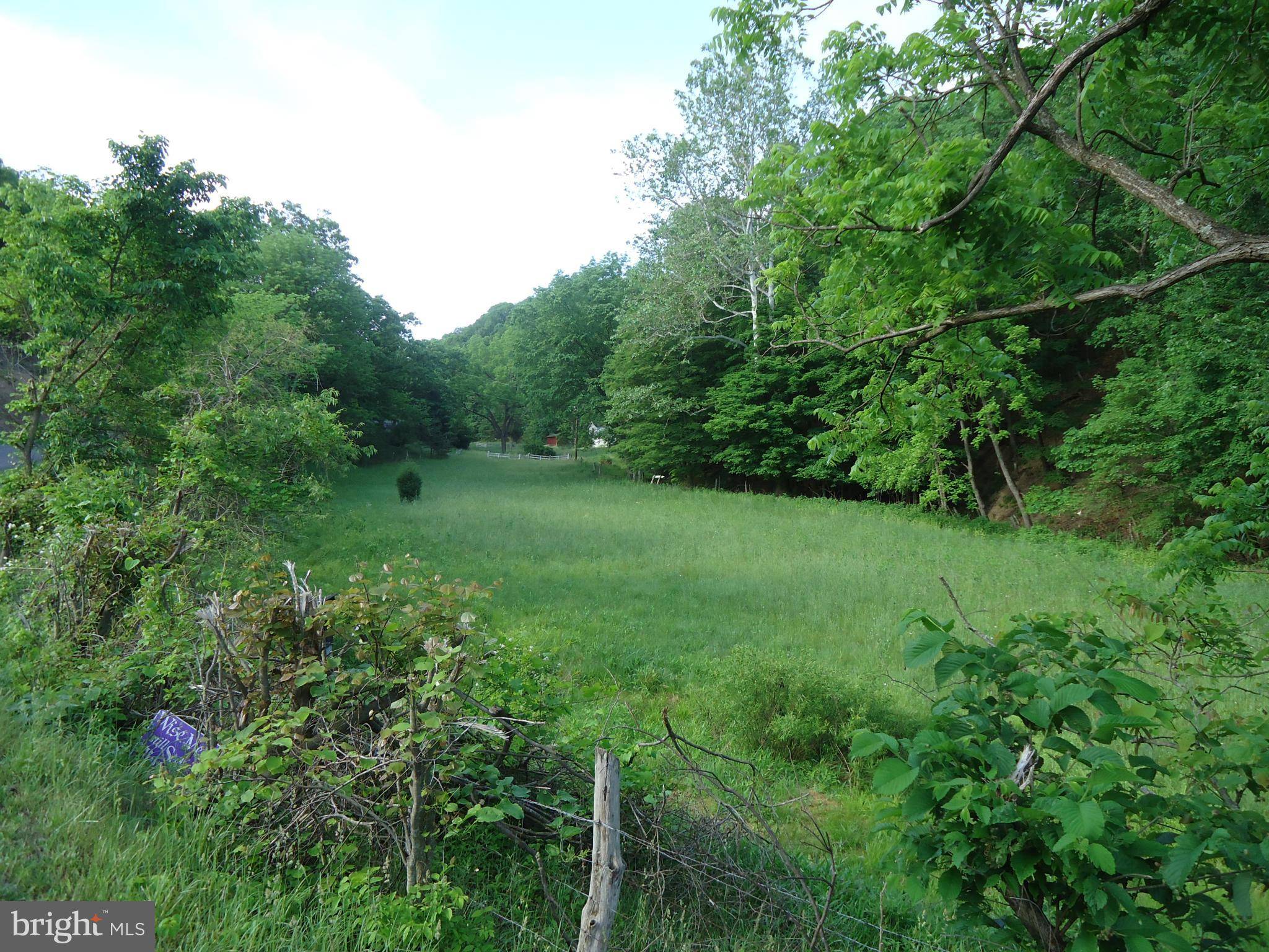 New Creek, WV 26743,0 DOUBLE CRIBBS RD