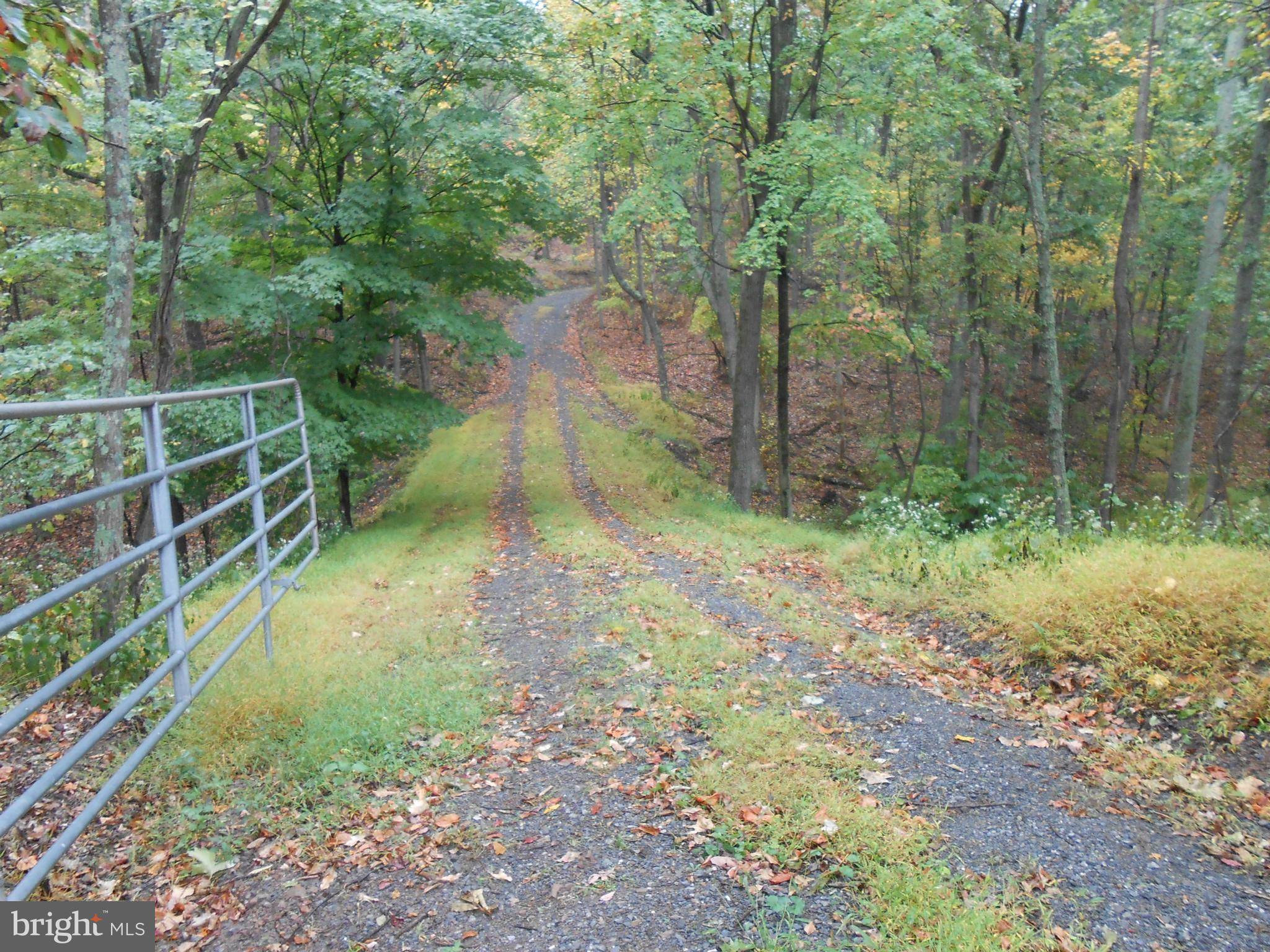 Berkeley Springs, WV 25411,APPLE JACK LANE