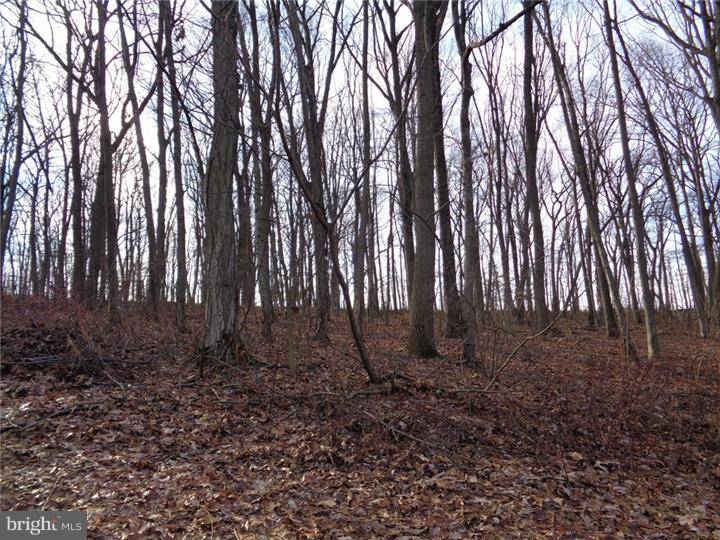 New Providence, PA 17560,0 WOODLAND DR #LOT 7A