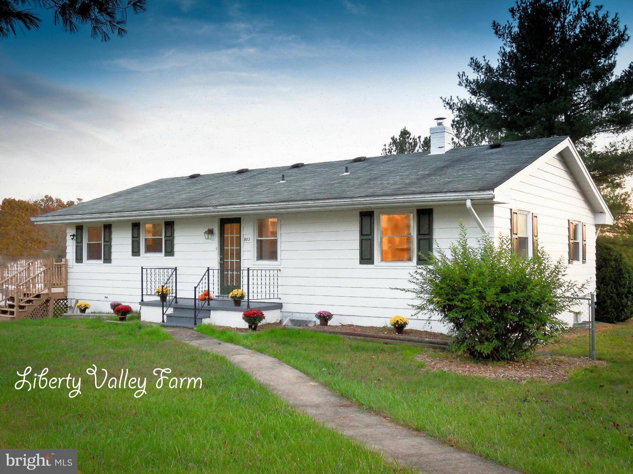 Fort Valley, VA 22652,903 COVERSTONE RD