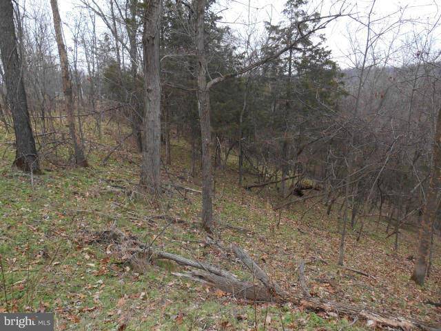 Levels, WV 25431,LOT 62 POTOMAC HIGHLANDS FARM