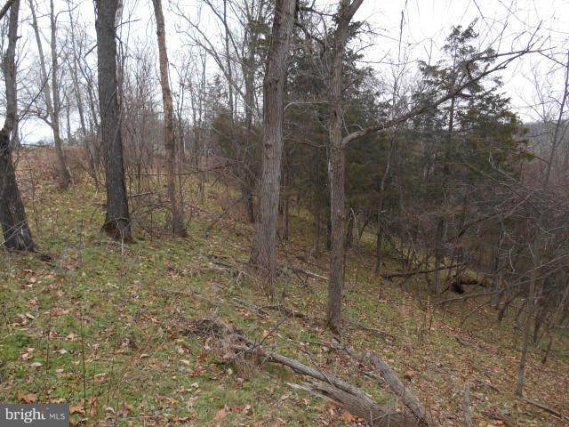 Levels, WV 25431,LOT 62 POTOMAC HIGHLANDS FARM