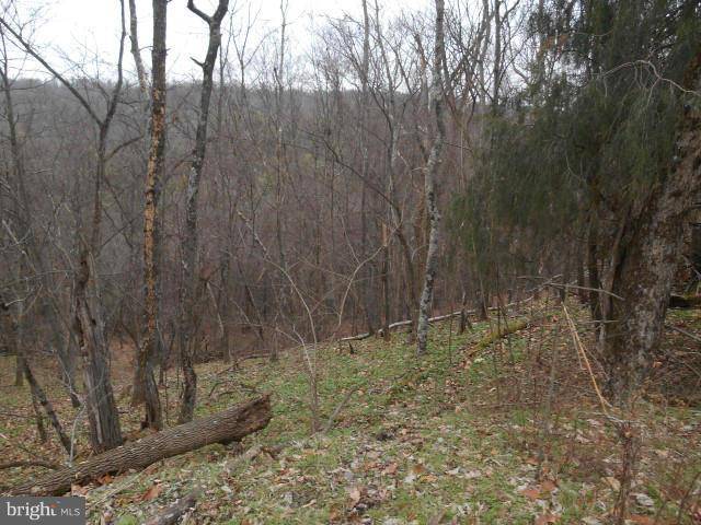 Levels, WV 25431,LOT 62 POTOMAC HIGHLANDS FARM