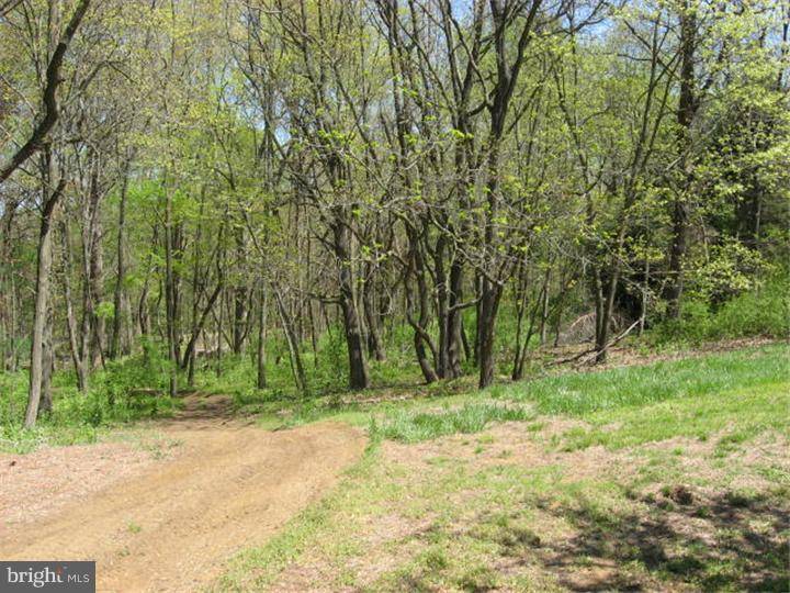 Pilesgrove, NJ 08098,LOT 3 BIRCH LN