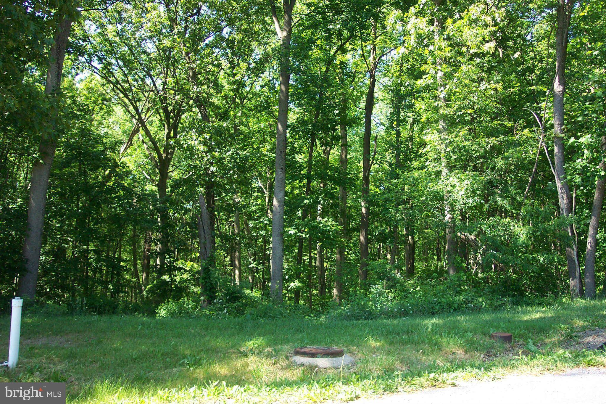 Waynesboro, PA 17268,LOT 50 LONGWOOD DR