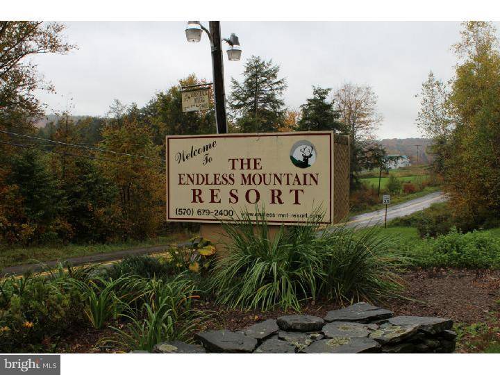 Union Dale, PA 18470,16 ENDLESS MOUNTAIN RESORT