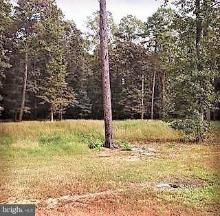 Milford, DE 19963,16546 RETREAT CIR