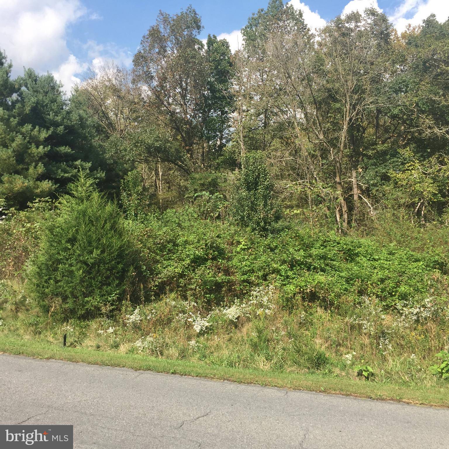 Edinburg, VA 22824,SWOVER CREEK RD