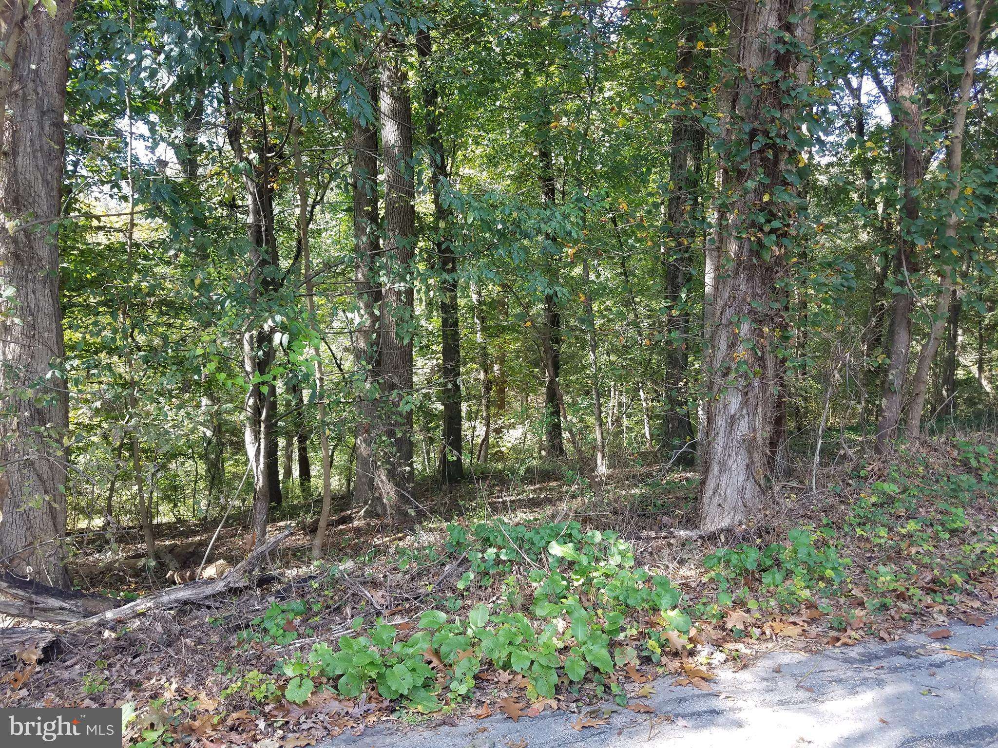 Harrisburg, PA 17111,LOT 66 - 67 SHADY DR