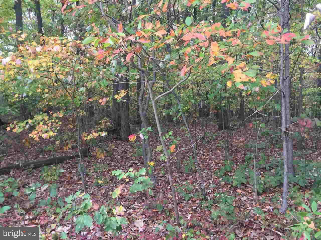 Stewartstown, PA 17363,LOT #2 (P) PLEASANT VALLEY RD