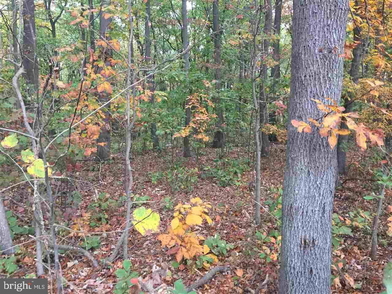 Stewartstown, PA 17363,LOT #2 (P) PLEASANT VALLEY RD