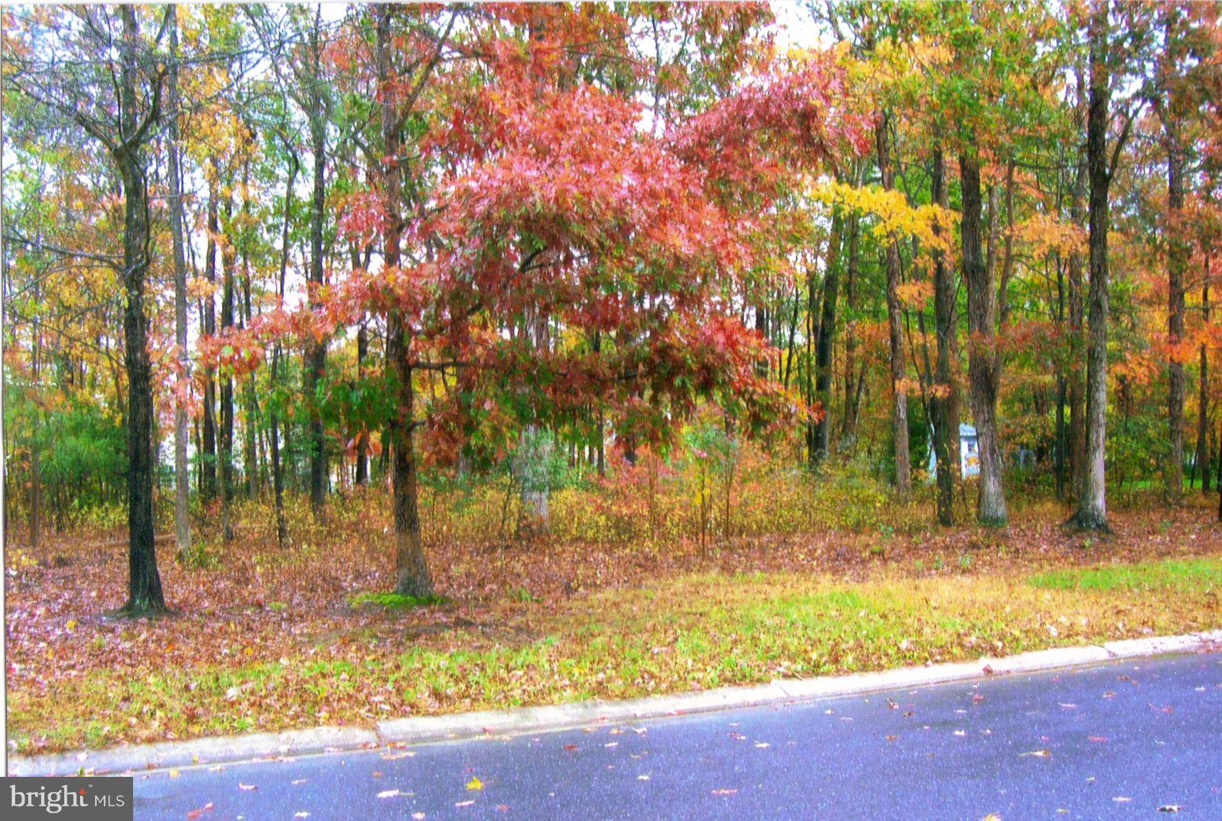 Pocomoke City, MD 21851,0 ACORN CIR #LOT 43