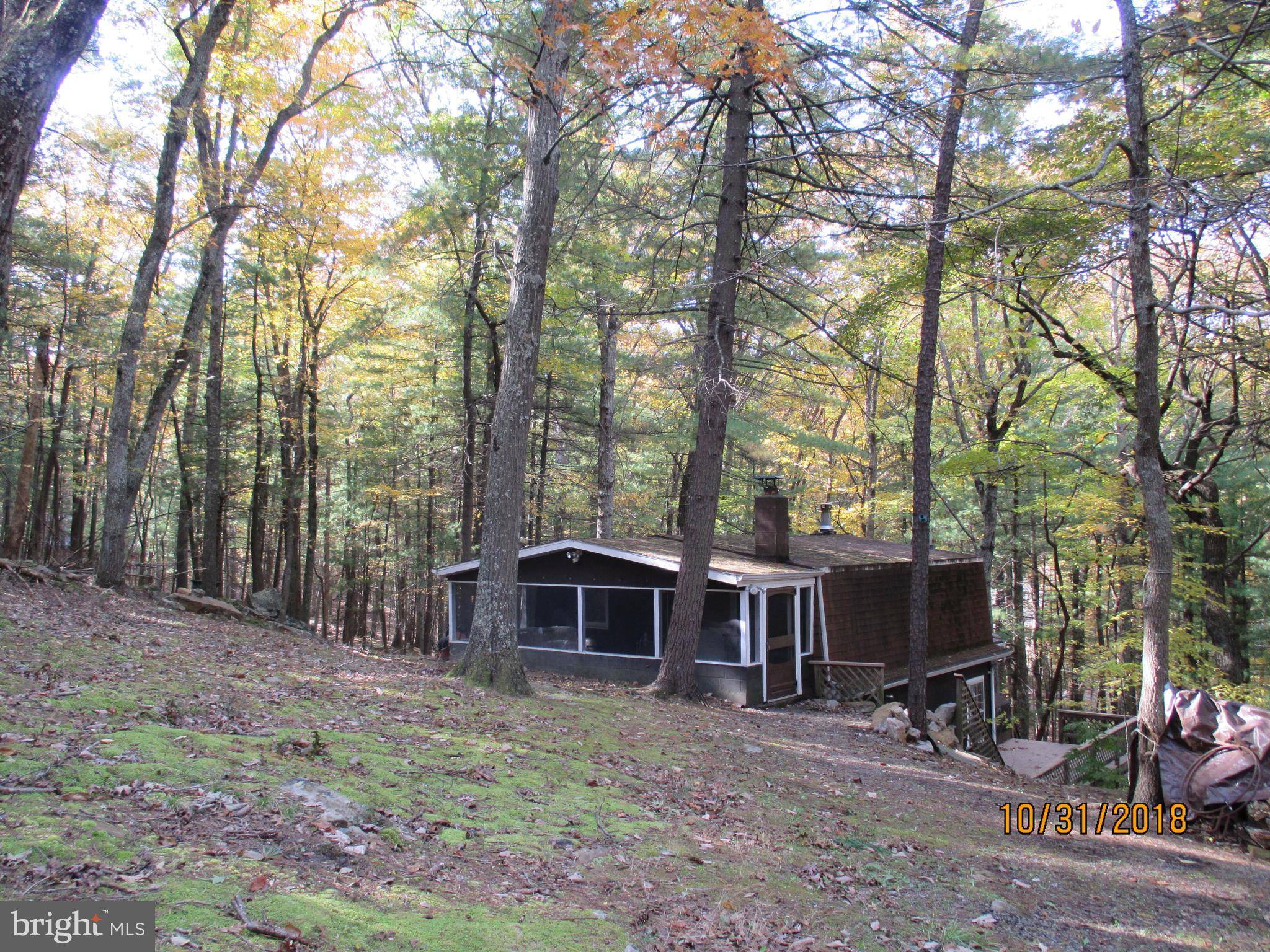 Great Cacapon, WV 25422,98 CALYPSO TRAIL