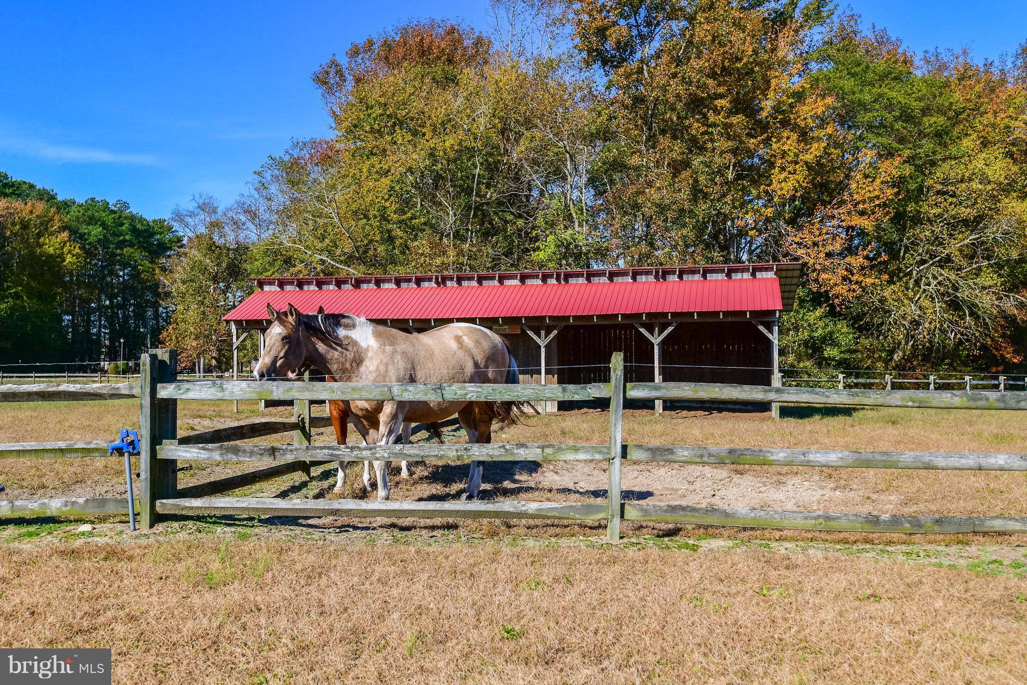 Frankford, DE 19945,34645 WINDING RD