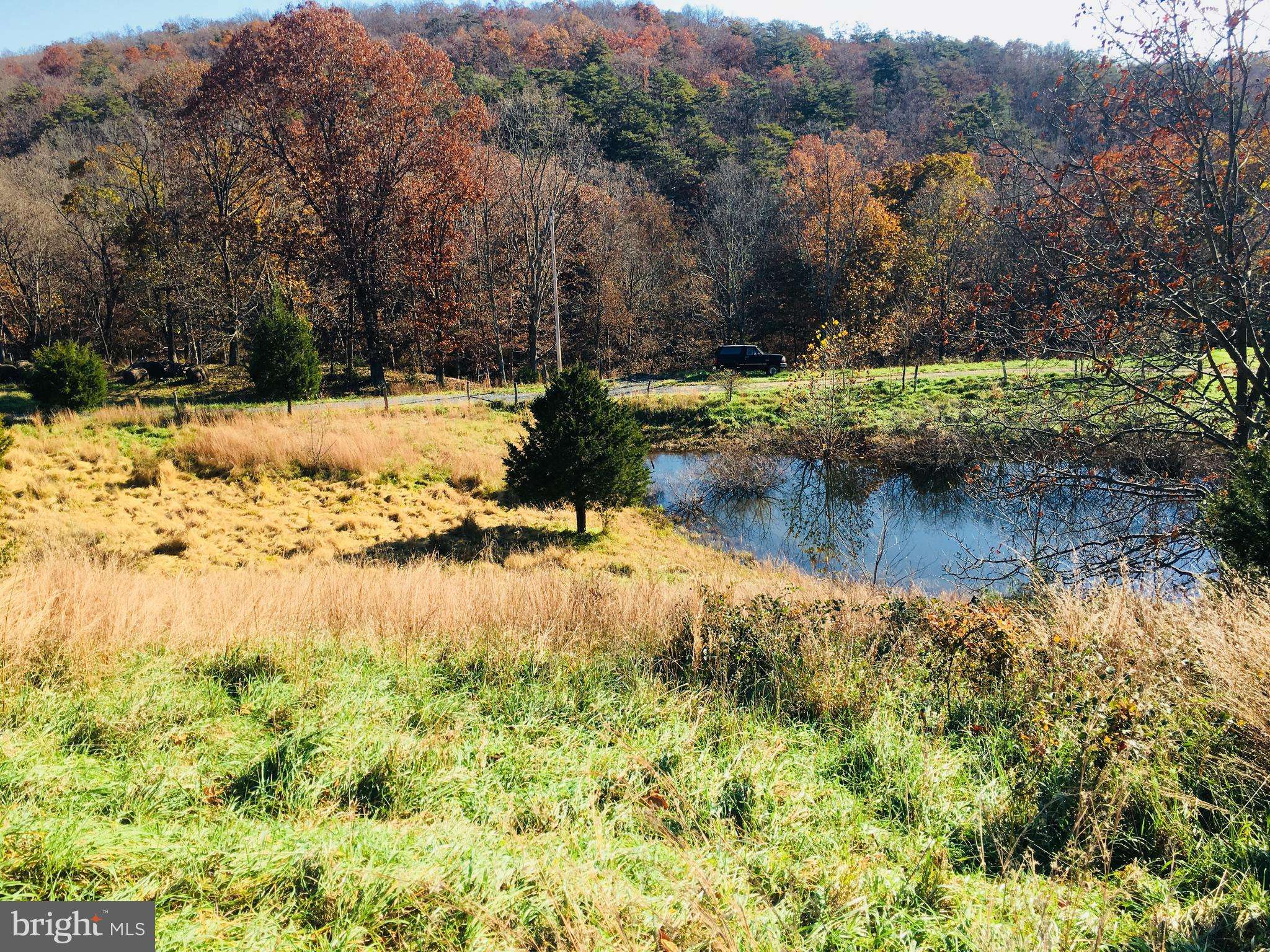 Maysville, WV 26833,GREENLAND GAP / MCNEILL LAND