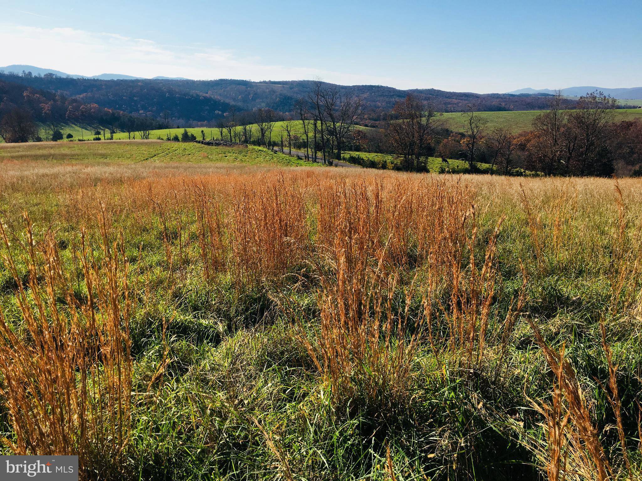 Maysville, WV 26833,GREENLAND GAP / MCNEILL LAND