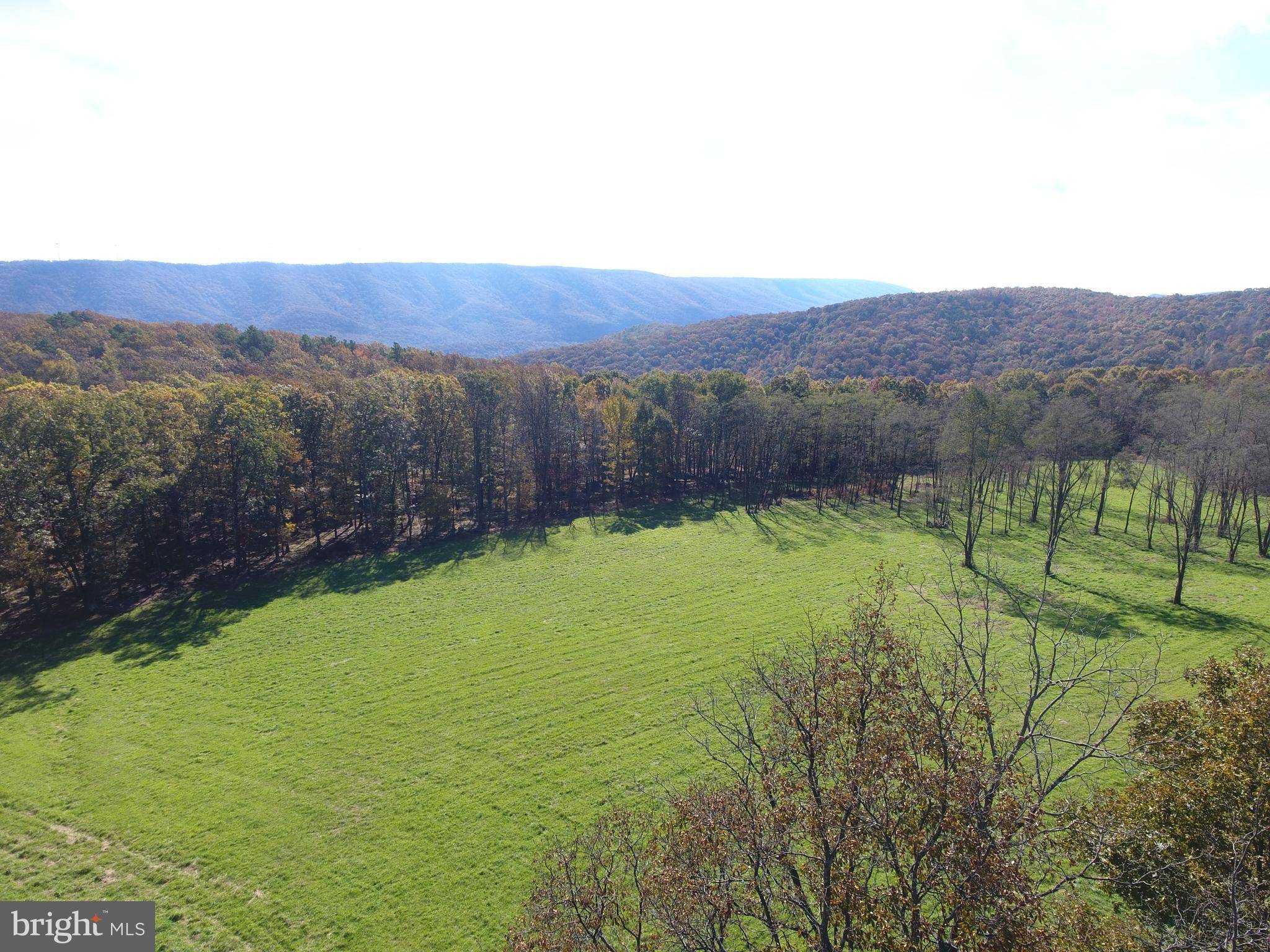 New Creek, WV 26743,BURGESS HOLW