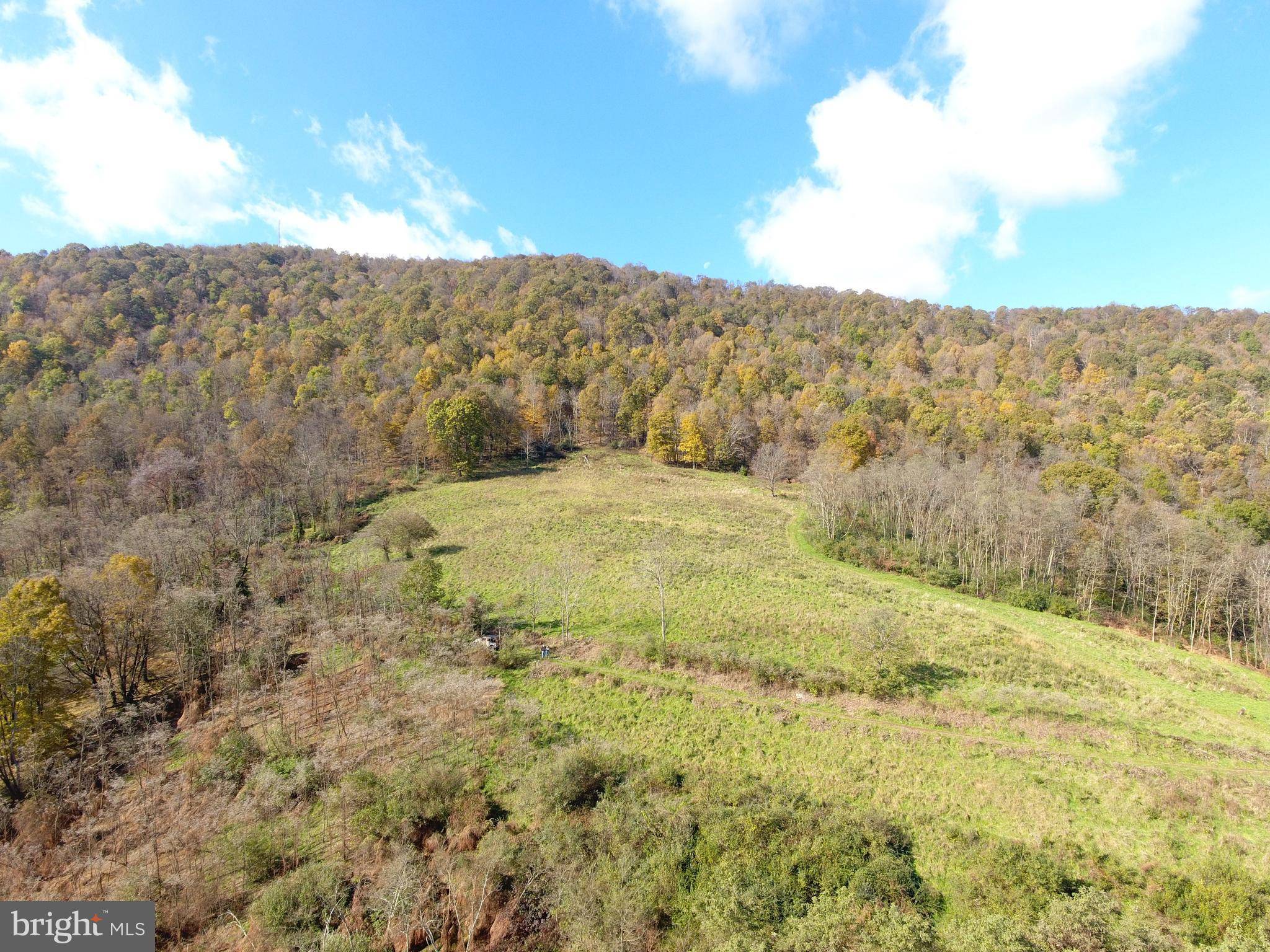 New Creek, WV 26743,BURGESS HOLW