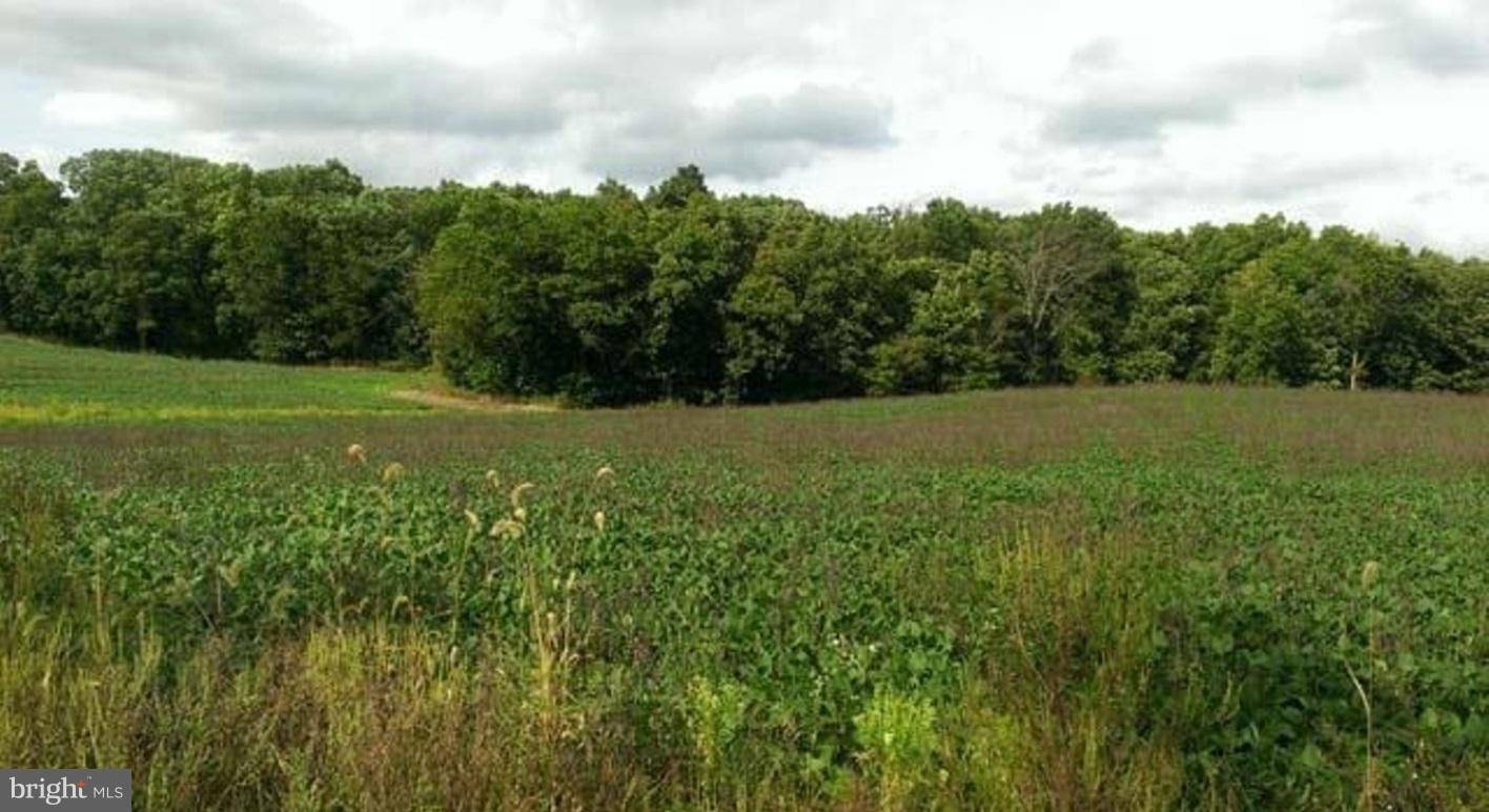 Gettysburg, PA 17325,LOT B LOW DUTCH RD