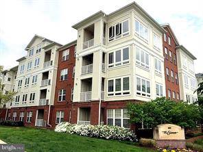 Arlington, VA 22204,801 S GREENBRIER ST #315