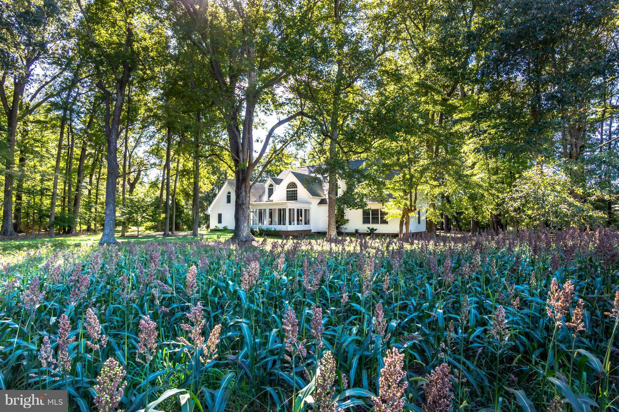 Easton, MD 21601,7085 OLD SCHOOLHOUSE LN