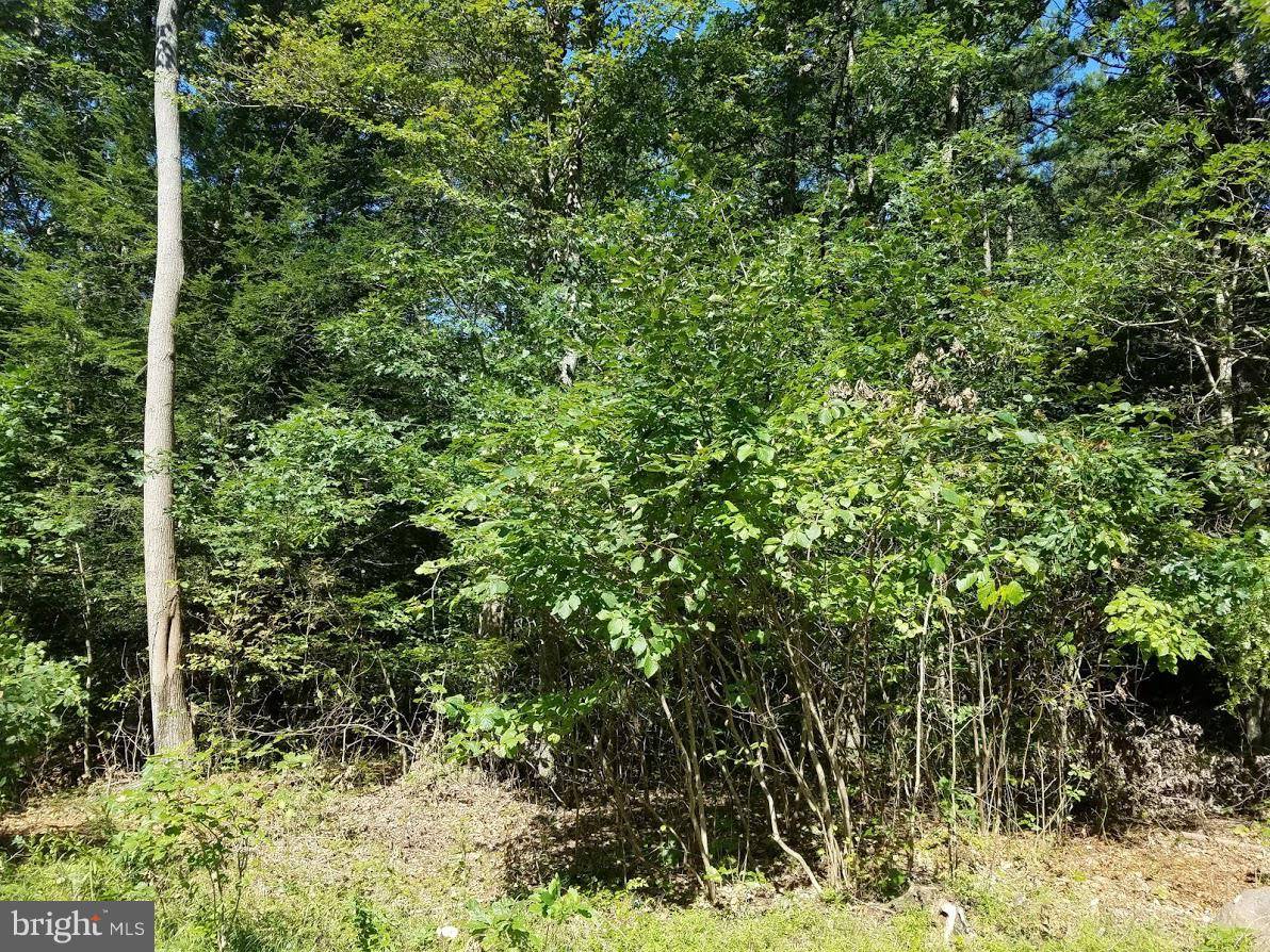 Lehighton, PA 18235,3483-LOT 2 FOREST ST