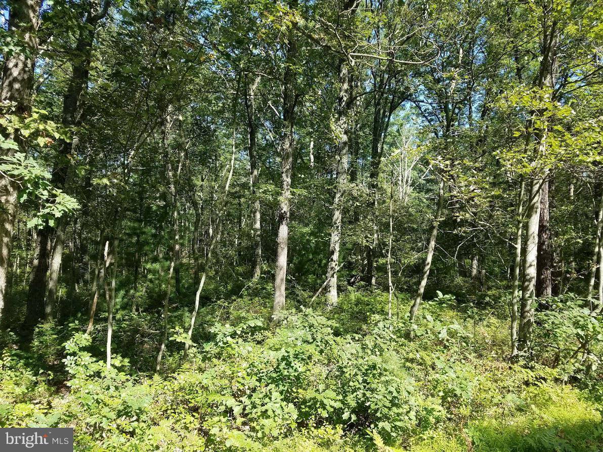 Lehighton, PA 18235,3489 LOT 8 FOREST ST