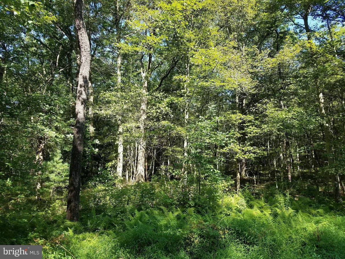 Lehighton, PA 18235,3487 LOT 7 FOREST ST