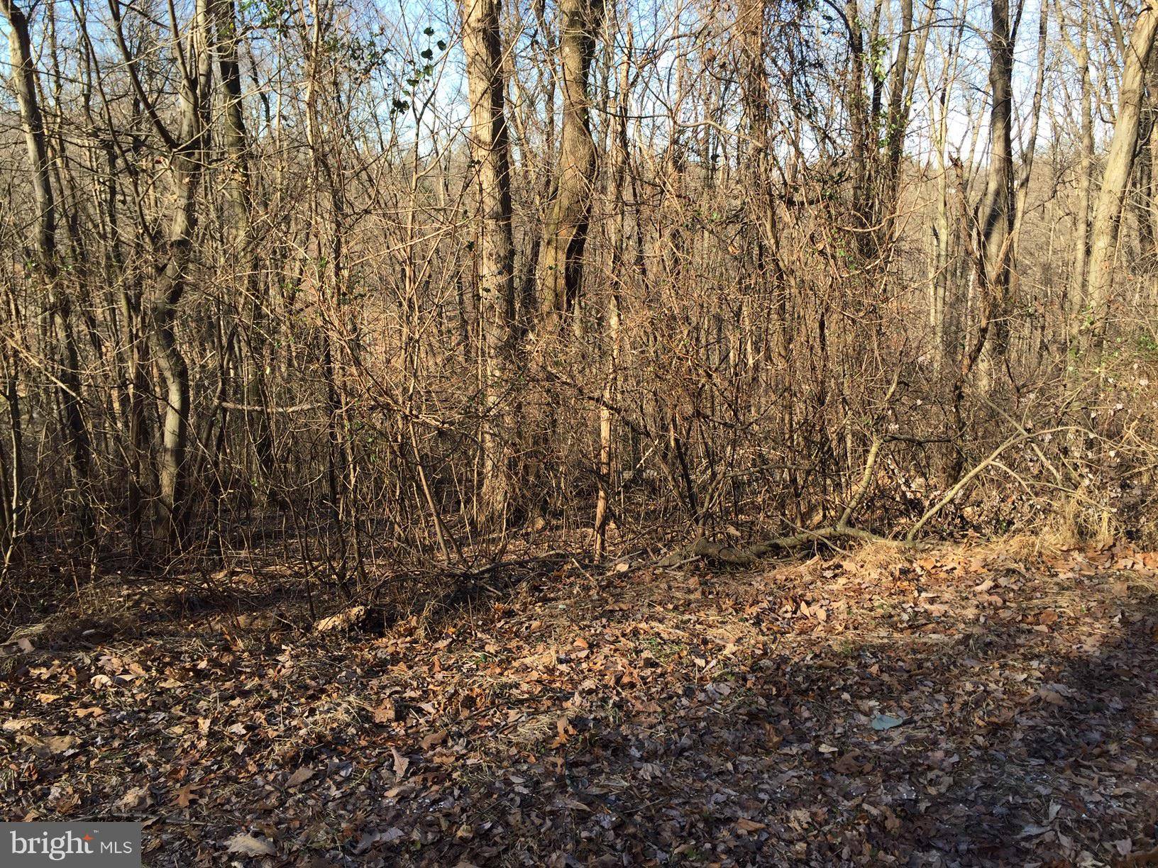 Hellam Twp, PA 17406,LOT 11 FOX CREEK CT