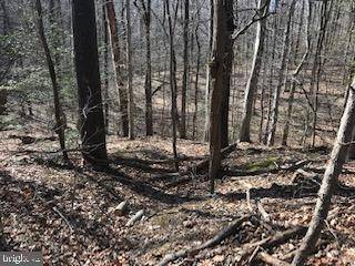 Montross, VA 22520,LOT #6 FALLING LEAF LN