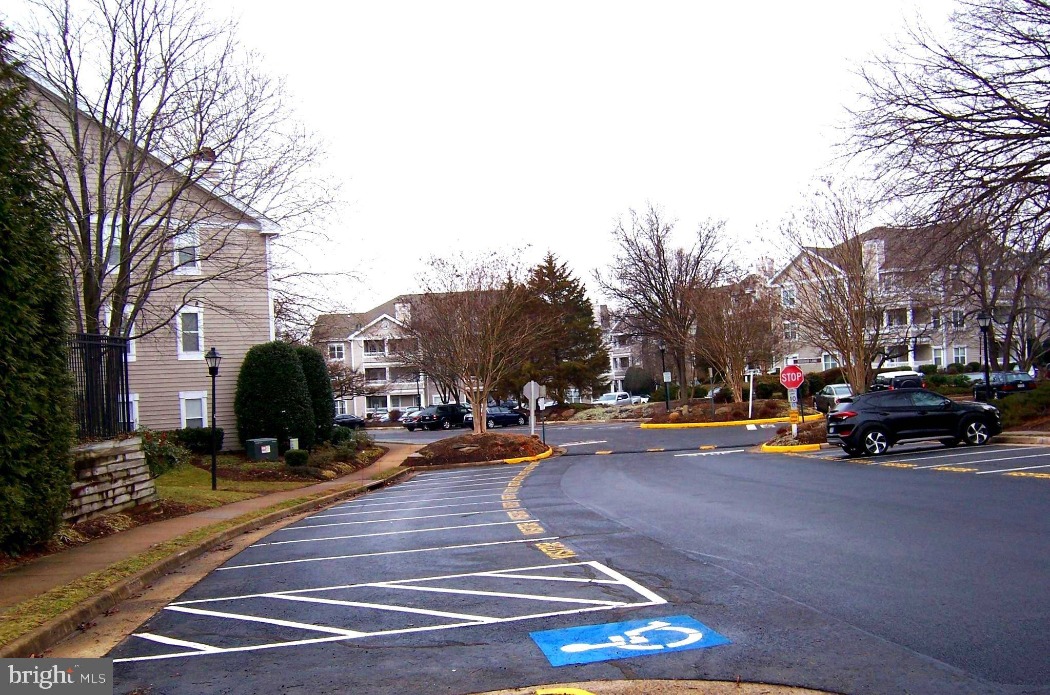 Centreville, VA 20121,14309 CLIMBING ROSE WAY #102