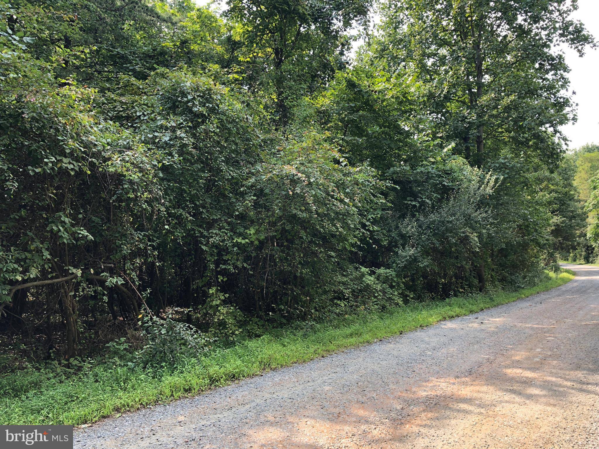 Stanardsville, VA 22973,LOT 19 GREEN ACRES RD N