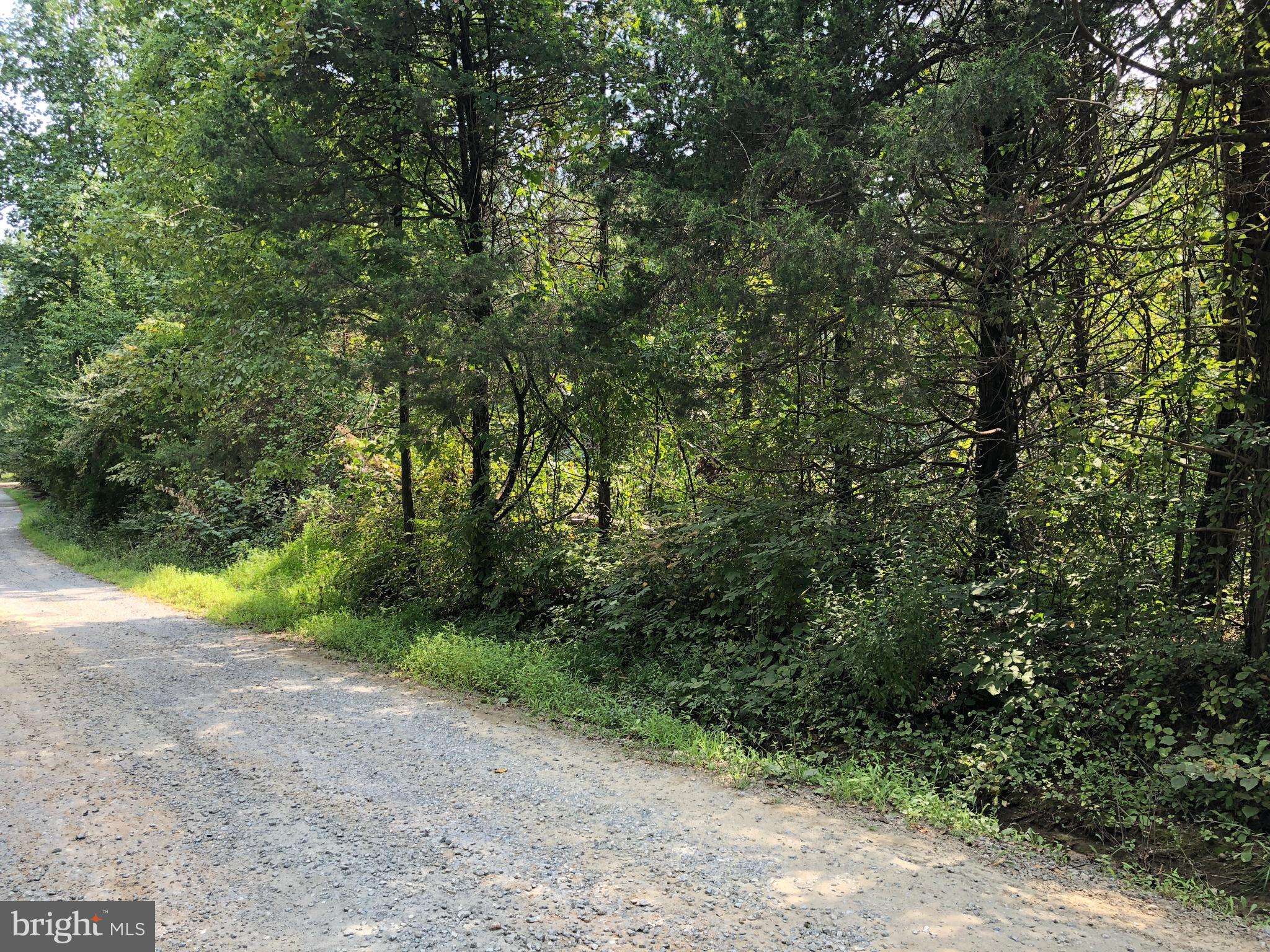 Stanardsville, VA 22973,LOT 19 GREEN ACRES RD N